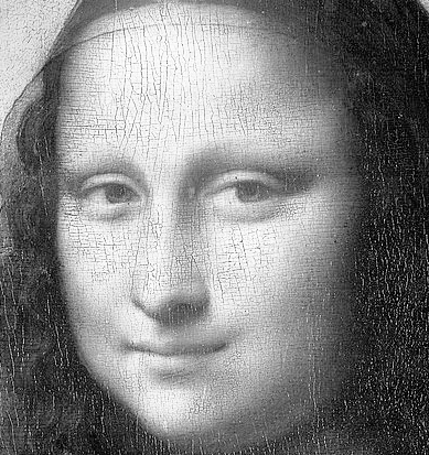 greyMonaLisa